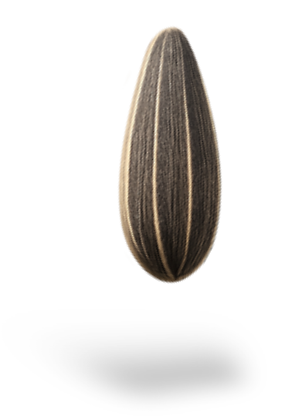 SUNFLOWER SEEDS
