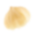 Seed