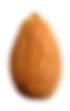Seed