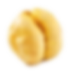 Seed
