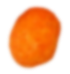 Seed
