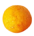 Seed
