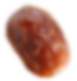 Seed