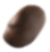 Seed