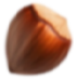 Seed