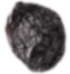 Seed