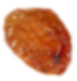 Seed