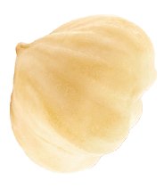 Seed