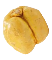 Seed