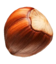 Seed