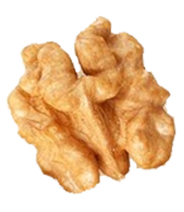 Seed