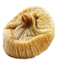 Seed