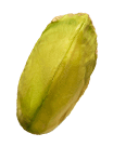 Seed