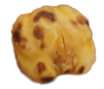 Seed
