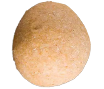 Seed
