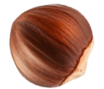 Seed