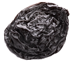 Seed