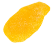 Seed
