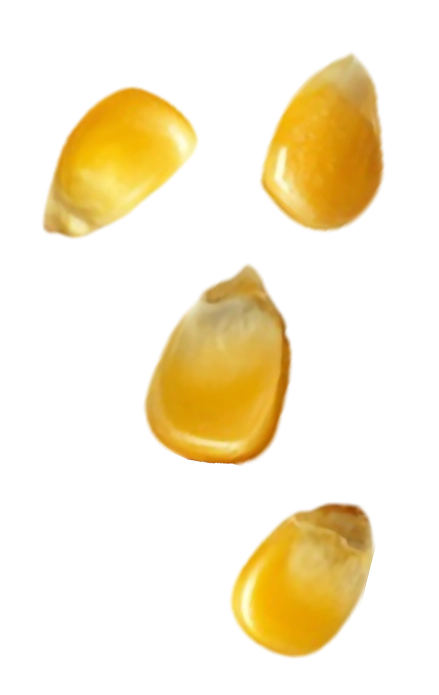 Left Product