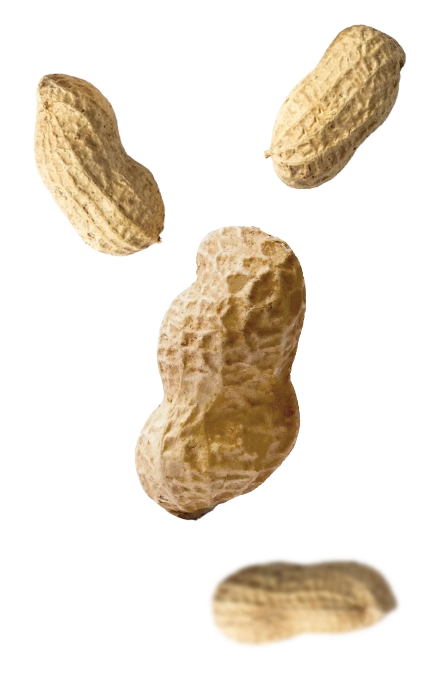 Left Product