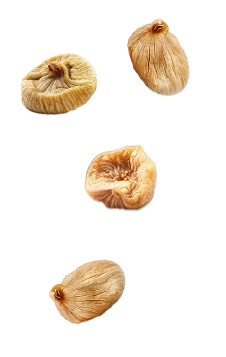 Left Product