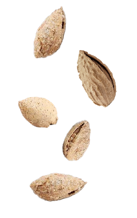 Right Product